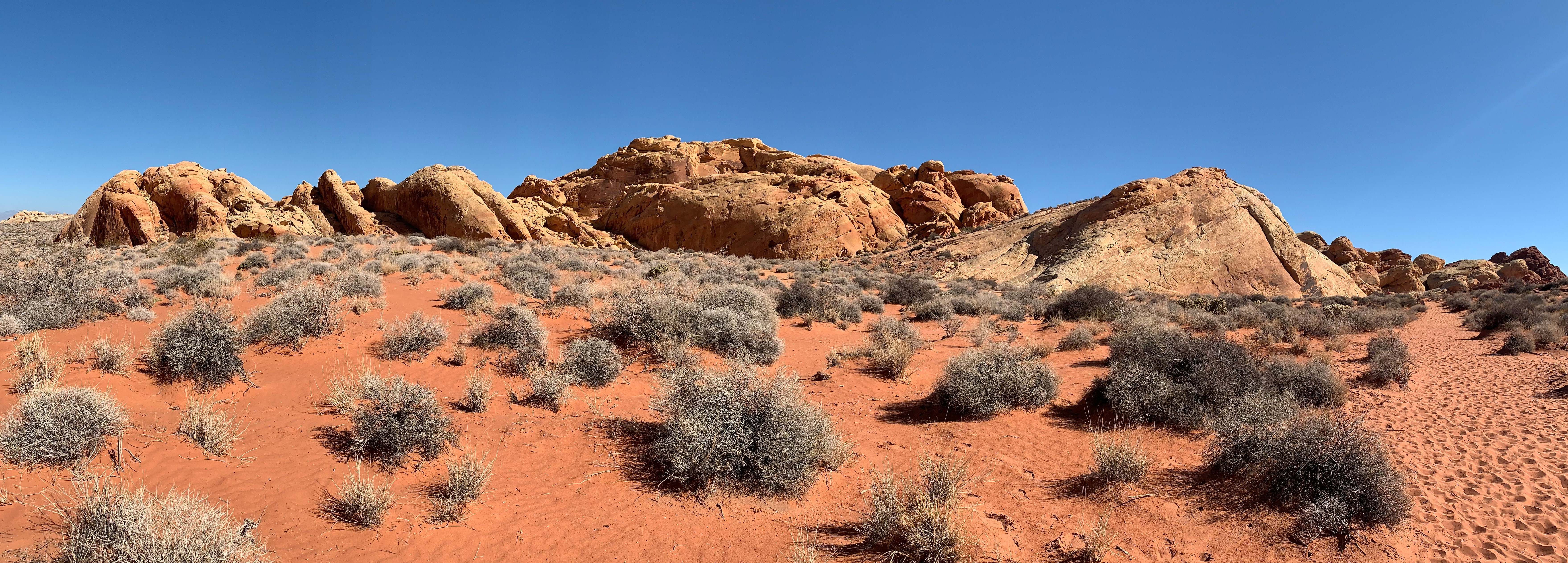 Nevada